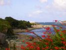 DSCN0598.JPG